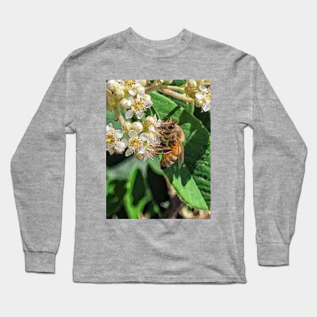 Busy bee 🐝 Long Sleeve T-Shirt by Photography_fan